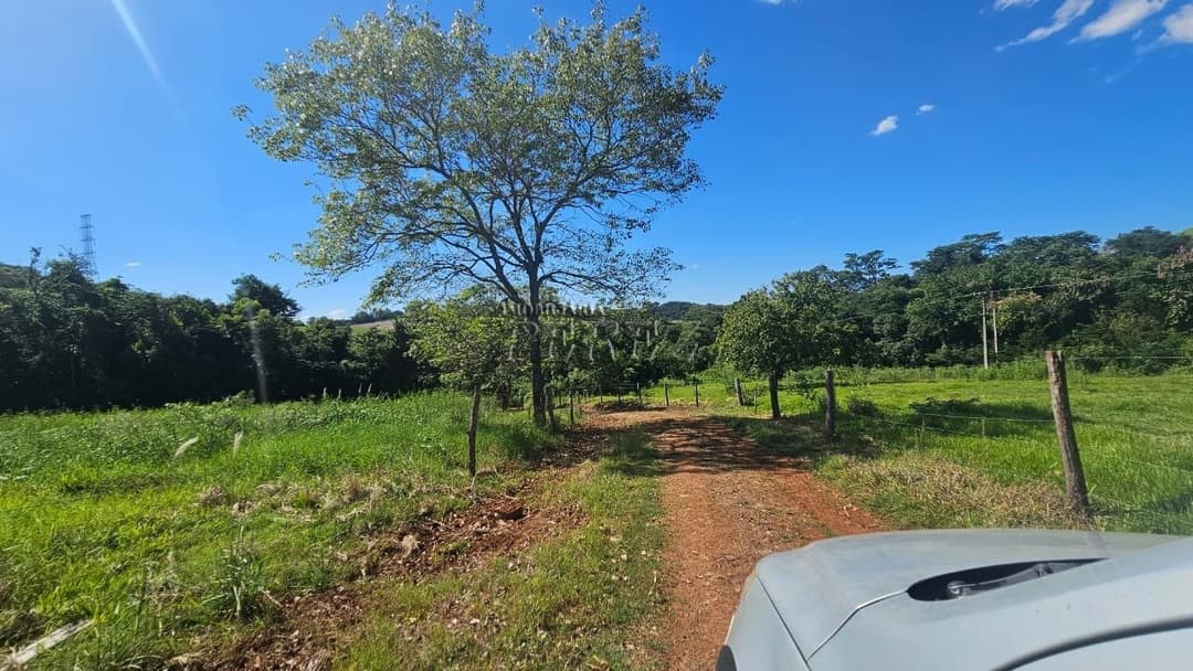 Imóveis Rurais no Recanto Da Lua à venda no Selva - Londrina/PR - Foto 3