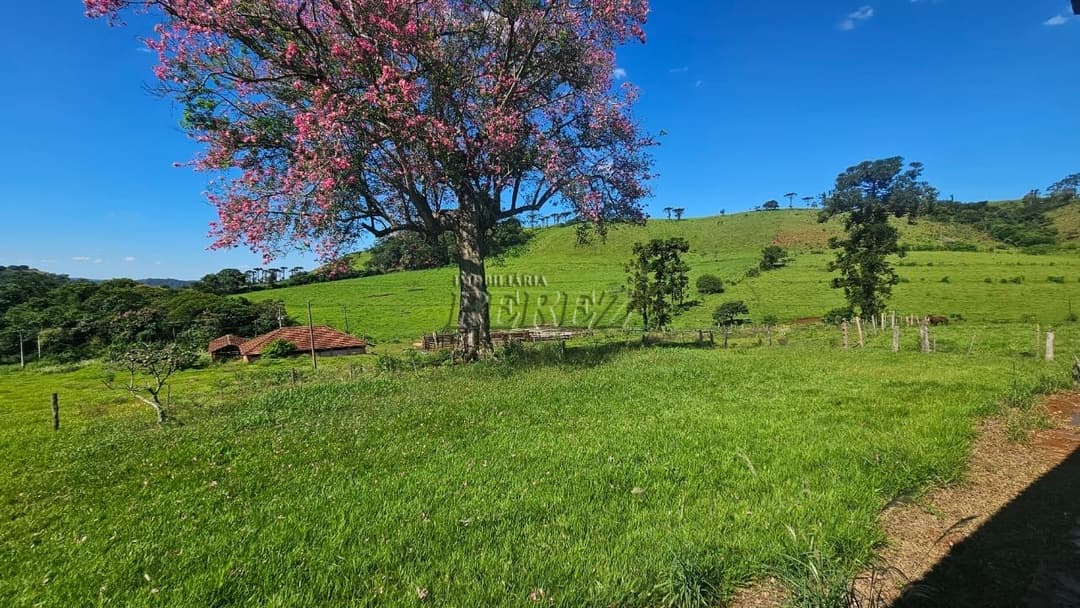 Imóveis Rurais no Recanto Da Lua à venda no Selva - Londrina/PR - Foto 1