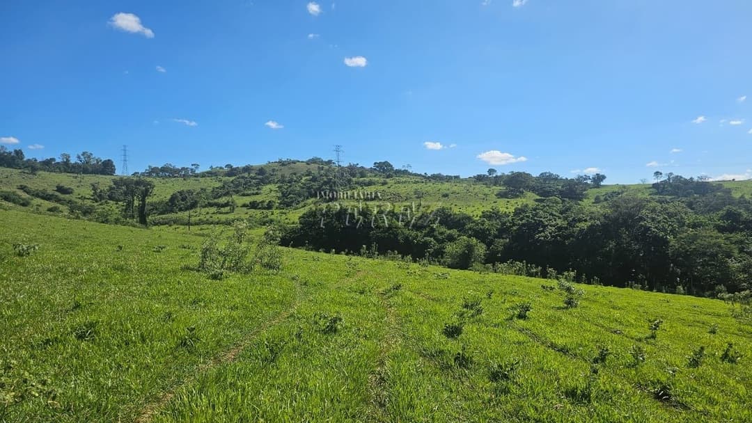 Imóveis Rurais no Recanto Da Lua à venda no Selva - Londrina/PR - Foto 28