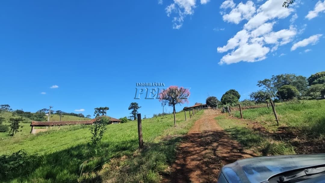 Imóveis Rurais no Recanto Da Lua à venda no Selva - Londrina/PR - Foto 5