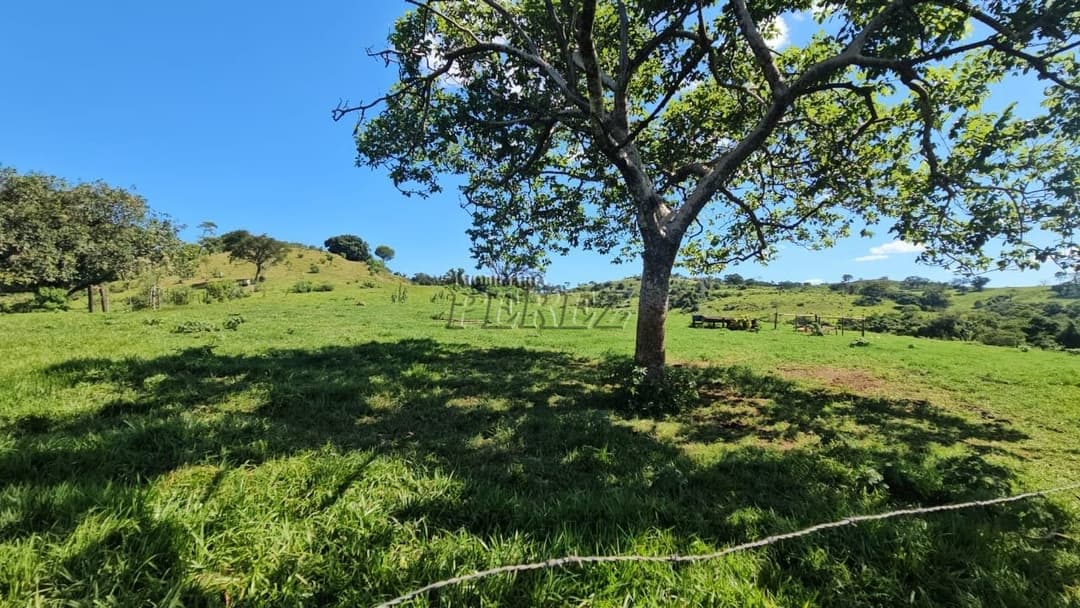 Imóveis Rurais no Recanto Da Lua à venda no Selva - Londrina/PR - Foto 33