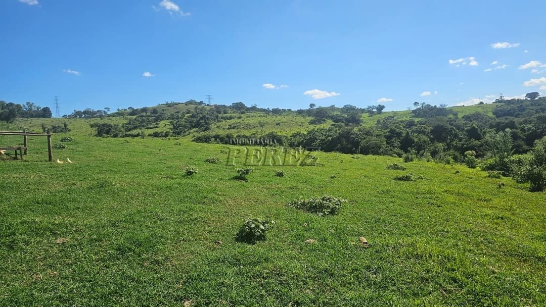 Imóveis Rurais no Recanto Da Lua à venda no Selva - Londrina/PR - Foto 26