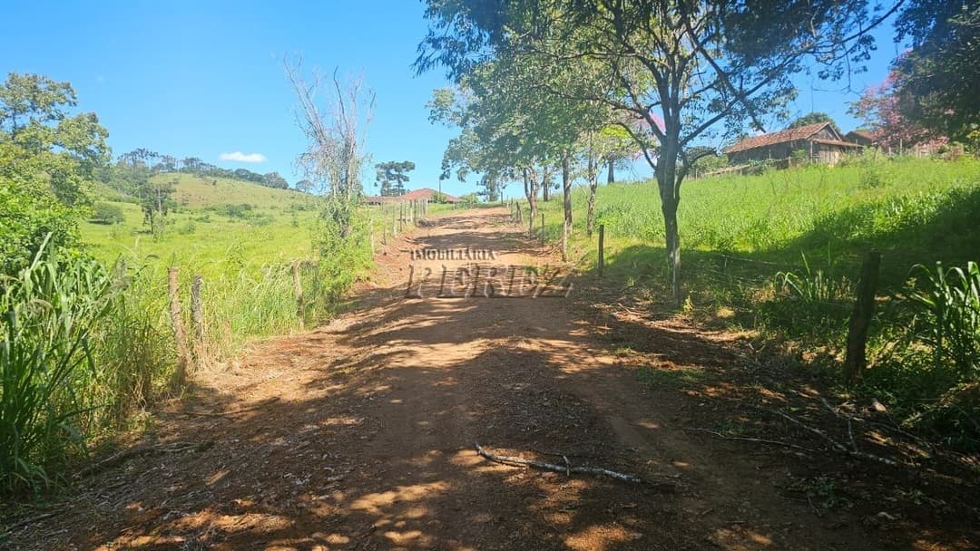 Imóveis Rurais no Recanto Da Lua à venda no Selva - Londrina/PR - Foto 4
