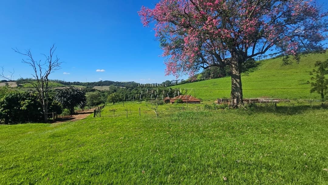 Imóveis Rurais no Recanto Da Lua à venda no Selva - Londrina/PR - Foto 2