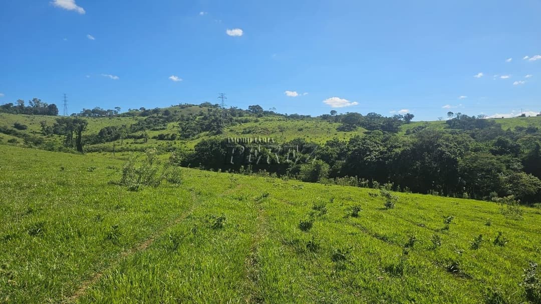Imóveis Rurais no Recanto Da Lua à venda no Selva - Londrina/PR - Foto 29