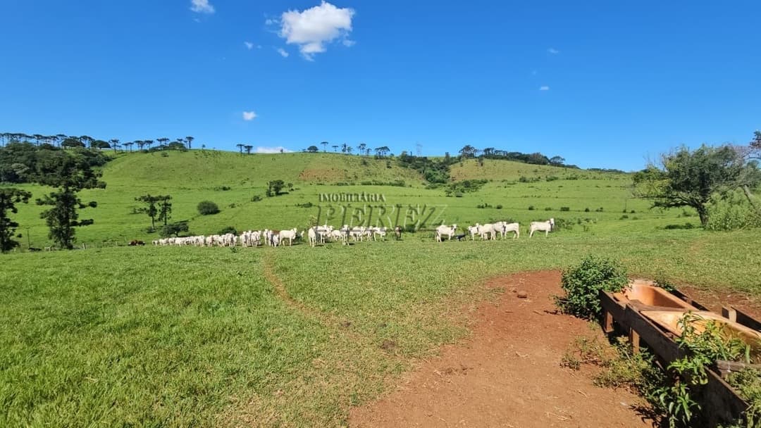 Imóveis Rurais no Recanto Da Lua à venda no Selva - Londrina/PR - Foto 36