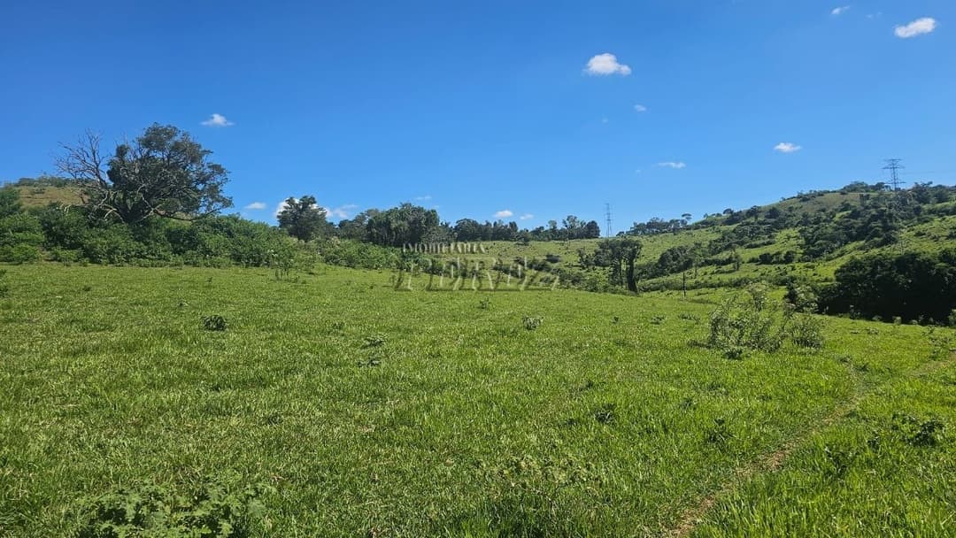 Imóveis Rurais no Recanto Da Lua à venda no Selva - Londrina/PR - Foto 32