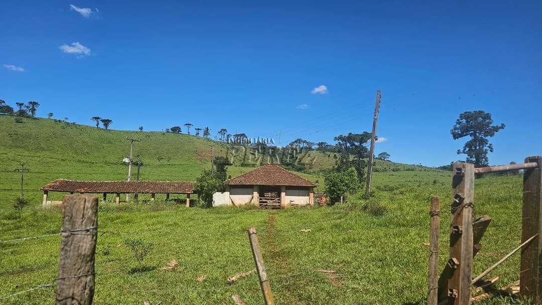 Imóveis Rurais no Recanto Da Lua à venda no Selva - Londrina/PR - Foto 12