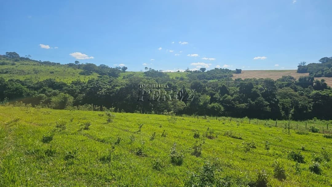 Imóveis Rurais no Recanto Da Lua à venda no Selva - Londrina/PR - Foto 30