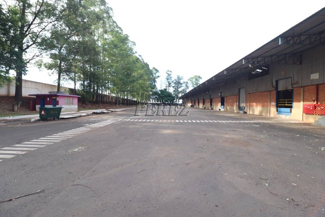 Barracão para alugar na região norte de Londrina - Foto 1