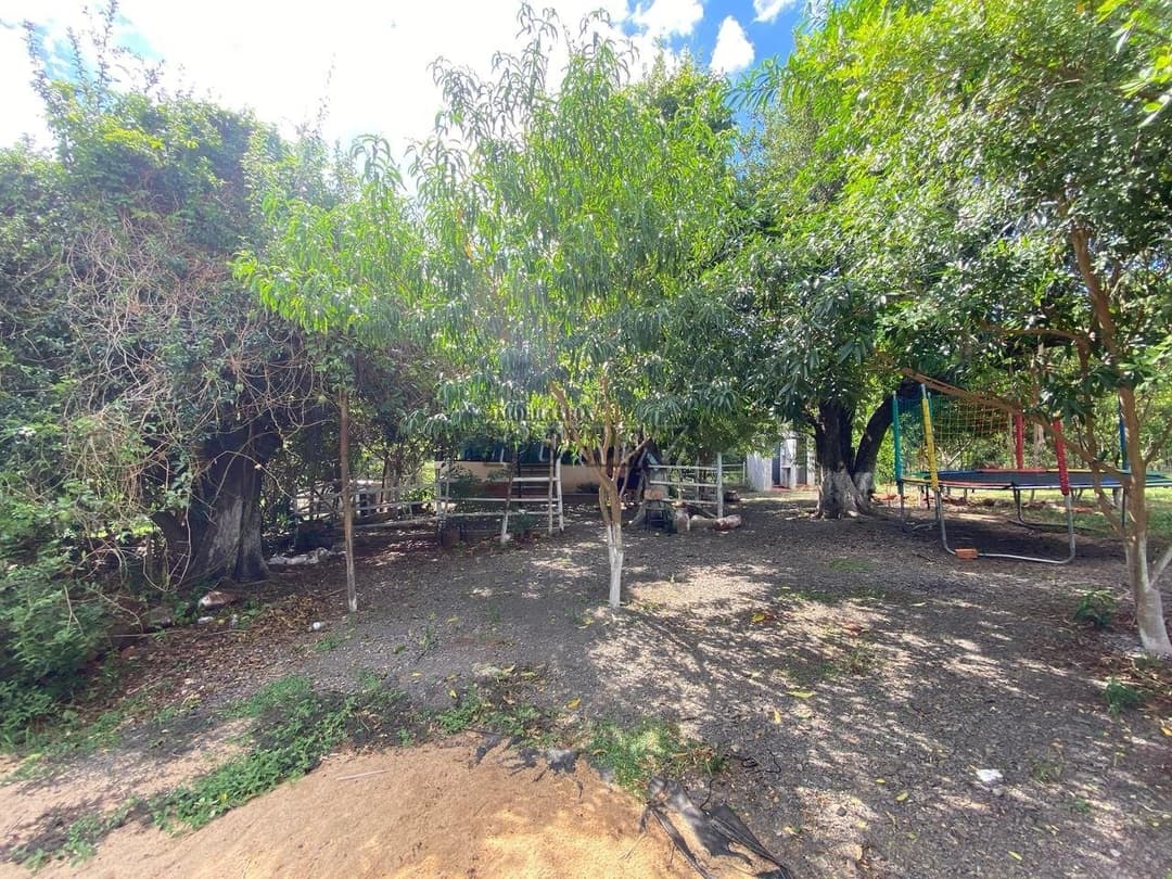 Chácara para venda e locação na Rua Guido Spoladore, na região leste de Londrina - Foto 10