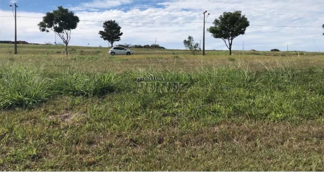 Terreno à Venda - Rua Amazonas em Sertanópolis - Foto 4