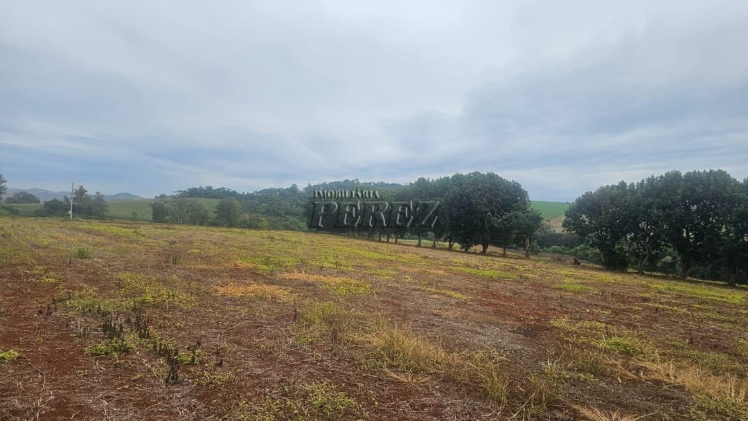 Sítio à Venda em Londrina - Estrada do Galo (Gleba Três Bocas) - Foto 13