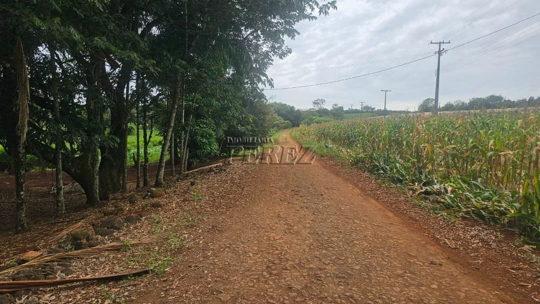 Sítio à Venda em Londrina - Estrada do Galo (Gleba Três Bocas) - Foto 0