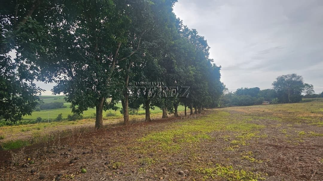 Sítio à Venda em Londrina - Estrada do Galo (Gleba Três Bocas) - Foto 14