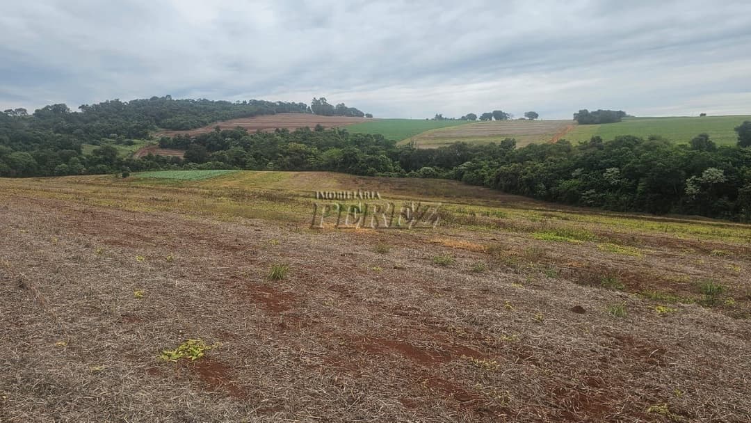Sítio à Venda em Londrina - Estrada do Galo (Gleba Três Bocas) - Foto 17