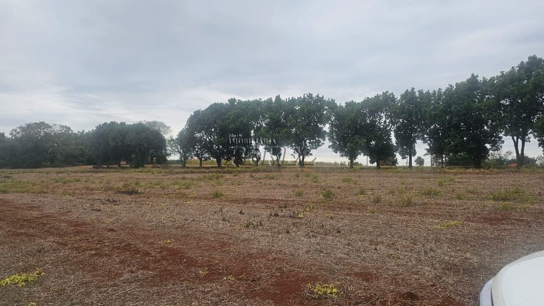 Sítio à Venda em Londrina - Estrada do Galo (Gleba Três Bocas) - Foto 16