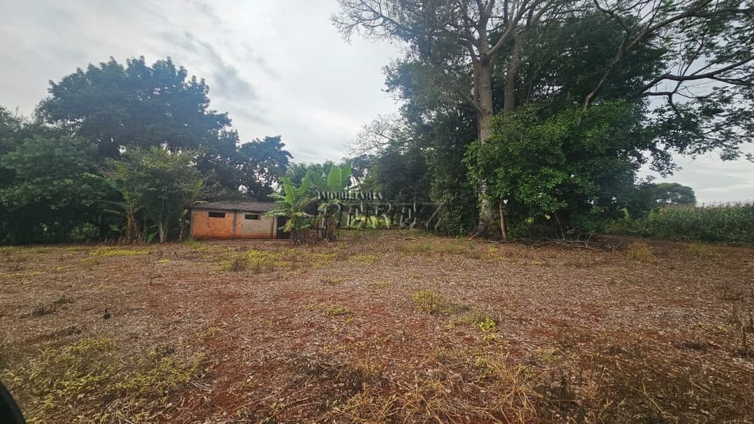 Sítio à Venda em Londrina - Estrada do Galo (Gleba Três Bocas) - Foto 11