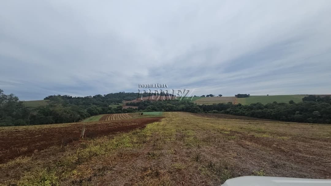 Sítio à Venda em Londrina - Estrada do Galo (Gleba Três Bocas) - Foto 19