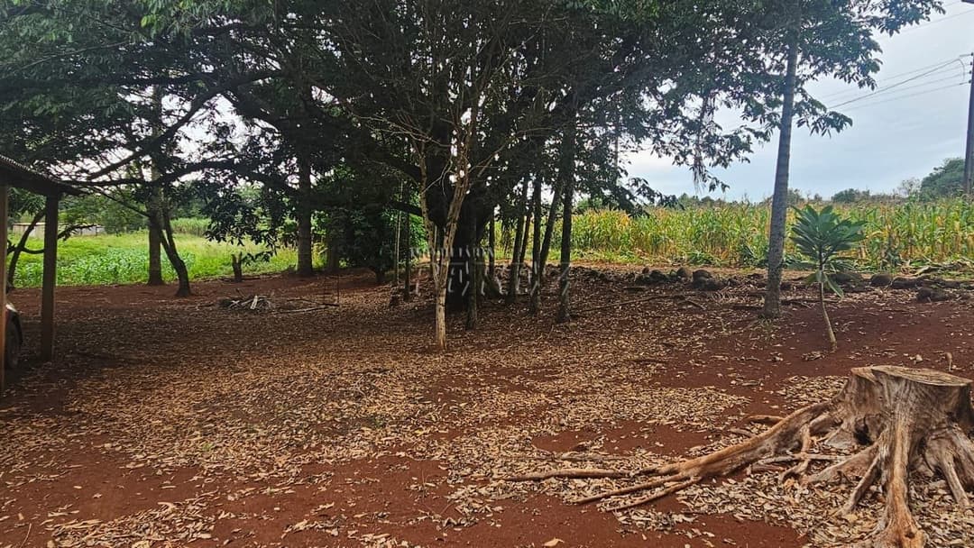Sítio à Venda em Londrina - Estrada do Galo (Gleba Três Bocas) - Foto 12
