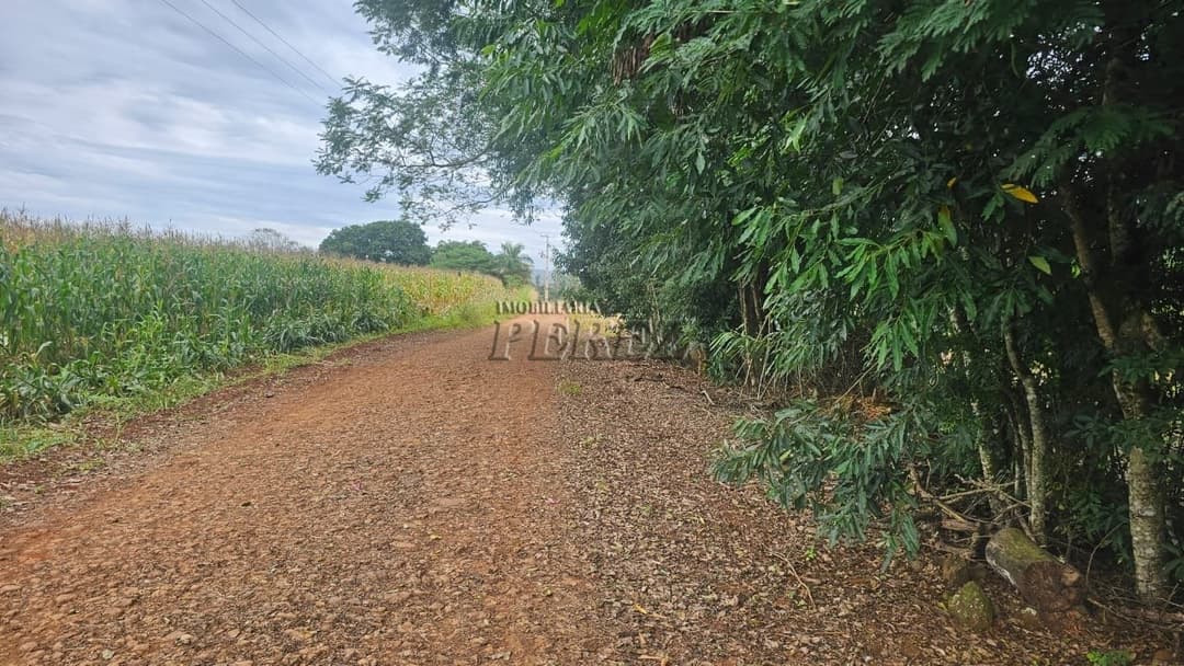 Sítio à Venda em Londrina - Estrada do Galo (Gleba Três Bocas) - Foto 1