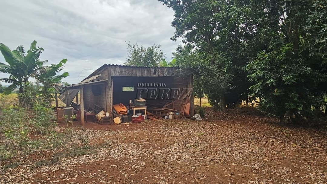 Sítio à Venda em Londrina - Estrada do Galo (Gleba Três Bocas) - Foto 10