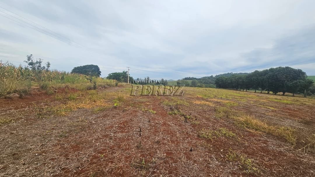 Sítio à Venda em Londrina - Estrada do Galo (Gleba Três Bocas) - Foto 20