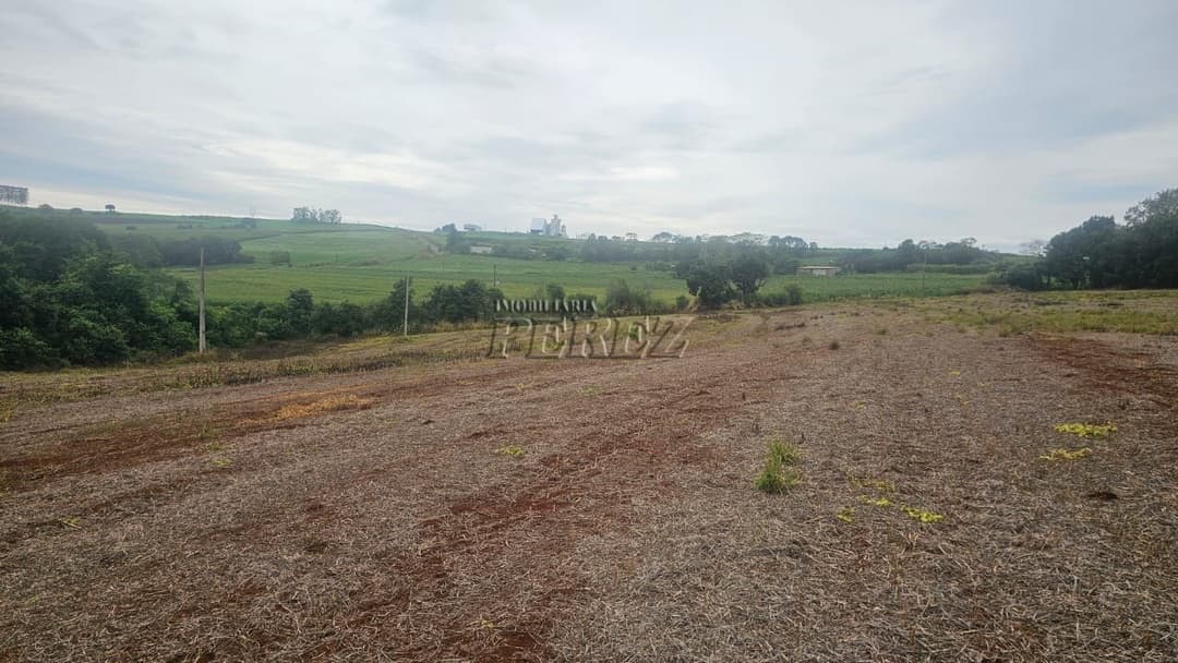 Sítio à Venda em Londrina - Estrada do Galo (Gleba Três Bocas) - Foto 23