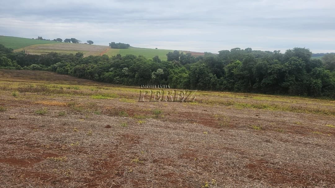 Sítio à Venda em Londrina - Estrada do Galo (Gleba Três Bocas) - Foto 24