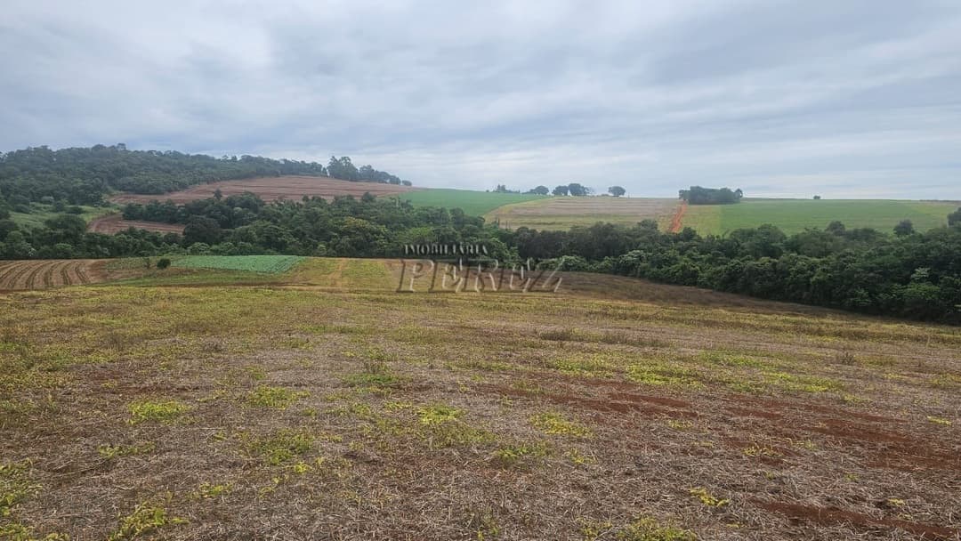 Sítio à Venda em Londrina - Estrada do Galo (Gleba Três Bocas) - Foto 25