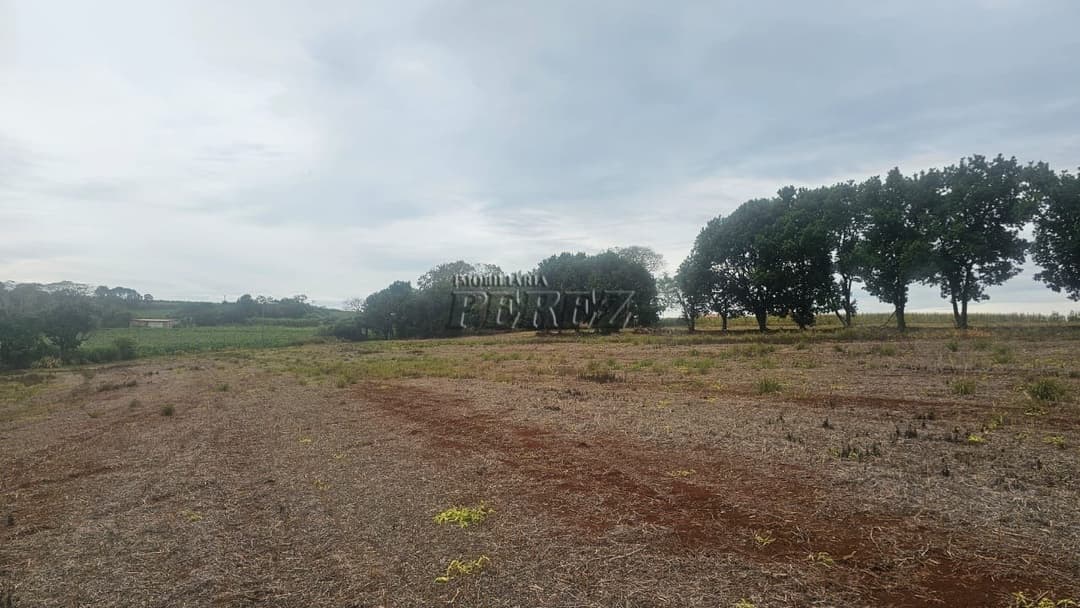 Sítio à Venda em Londrina - Estrada do Galo (Gleba Três Bocas) - Foto 15