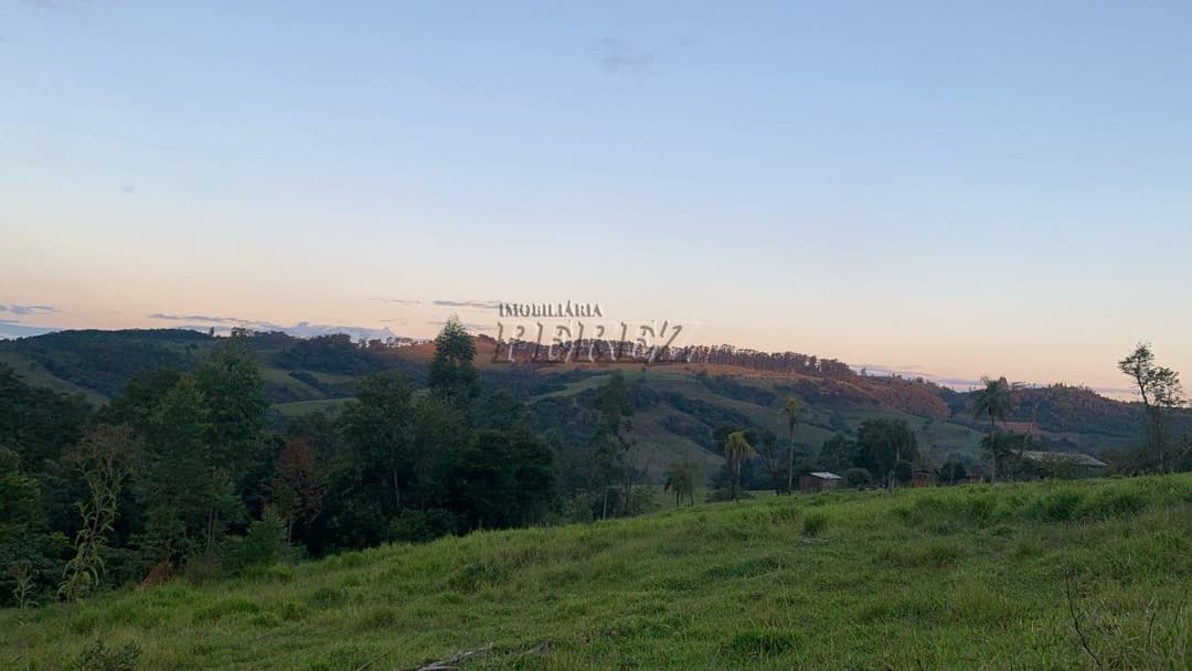 Imóvel Rural à Venda Fazenda em Ortigueira/PR Localização: Bairro Boa Vista - KM 314 da Rodovia do Café (BR-376) - Foto 0