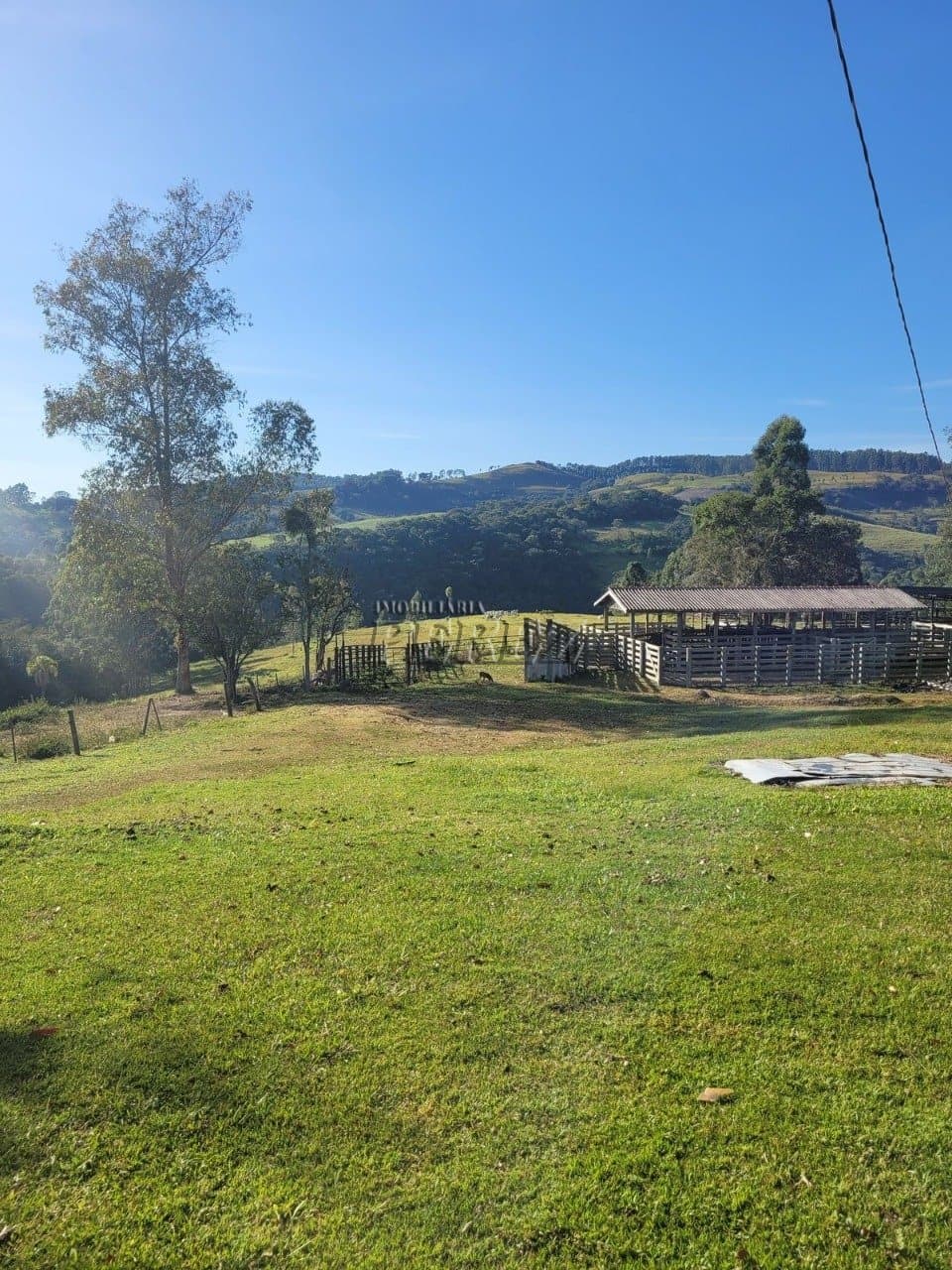 Imóvel Rural à Venda Fazenda em Ortigueira/PR Localização: Bairro Boa Vista - KM 314 da Rodovia do Café (BR-376) - Foto 3