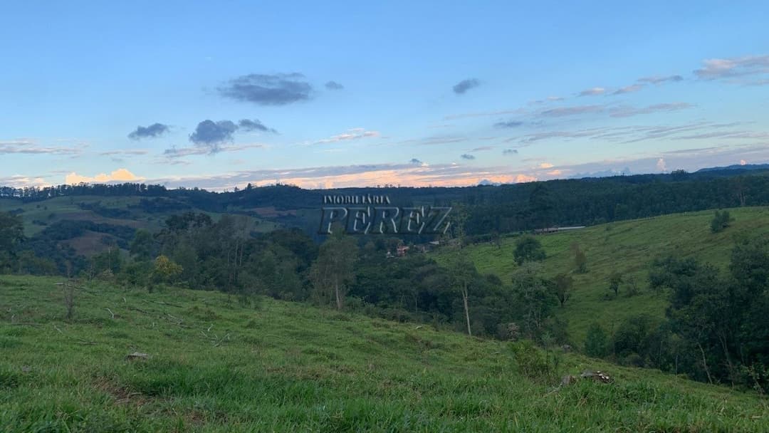 Imóvel Rural à Venda Fazenda em Ortigueira/PR Localização: Bairro Boa Vista - KM 314 da Rodovia do Café (BR-376) - Foto 1