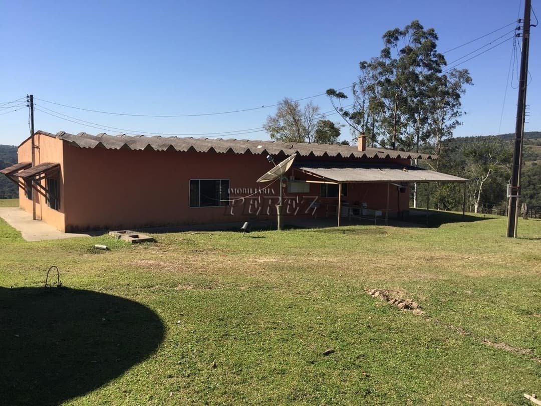Imóvel Rural à Venda Fazenda em Ortigueira/PR Localização: Bairro Boa Vista - KM 314 da Rodovia do Café (BR-376) - Foto 8