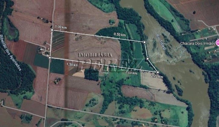 Sítio à Venda - 8 Alqueires | Distrito de Maravilha - PR Localização privilegiada: próximo à Rodovia João Alves da Rocha Loures - Foto 0