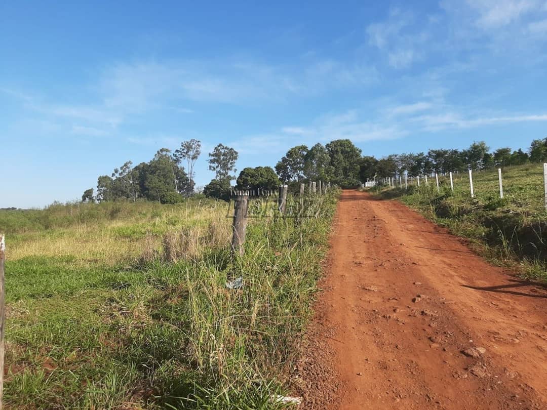 Área de 20.000m² à Venda - Ideal para Condomínio ou Loteamento em Londrina (Região Leste) - Foto 4