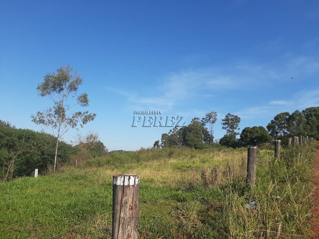 Área de 20.000m² à Venda - Ideal para Condomínio ou Loteamento em Londrina (Região Leste) - Foto 5