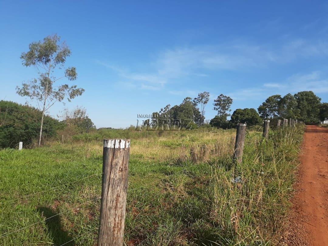 Área de 20.000m² à Venda - Ideal para Condomínio ou Loteamento em Londrina (Região Leste) - Foto 6