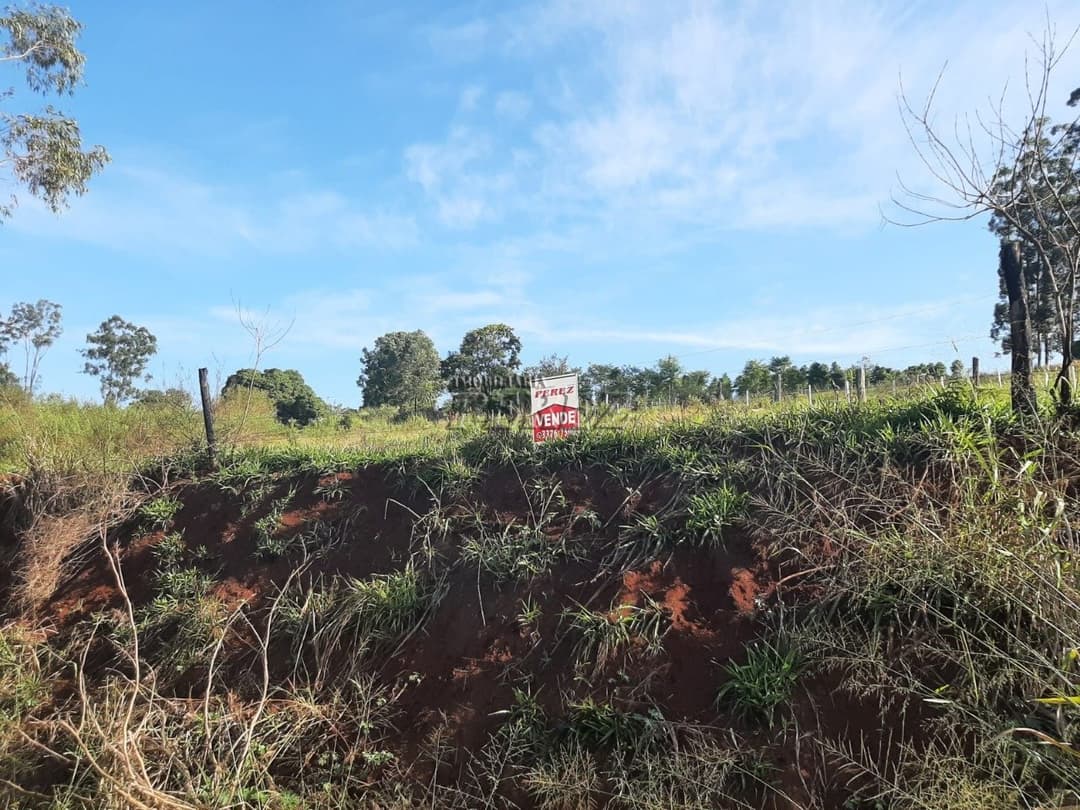 Área de 20.000m² à Venda - Ideal para Condomínio ou Loteamento em Londrina (Região Leste) - Foto 7