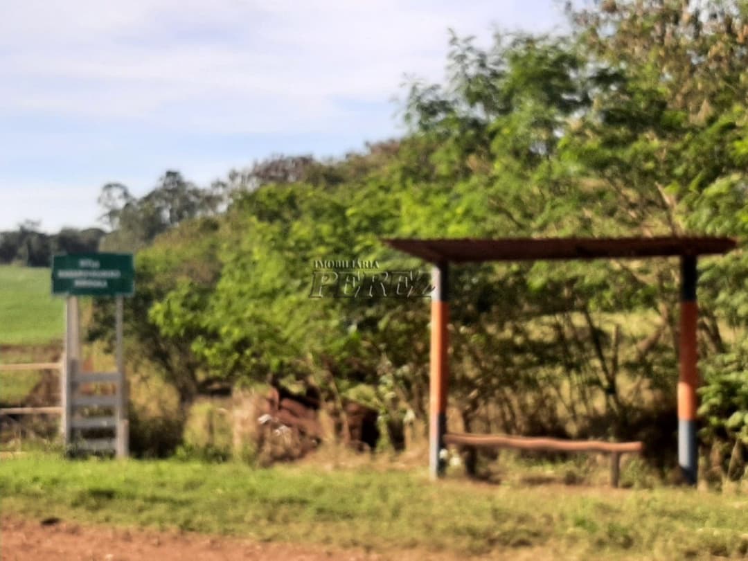 Área de 20.000m² à Venda - Ideal para Condomínio ou Loteamento em Londrina (Região Leste) - Foto 8