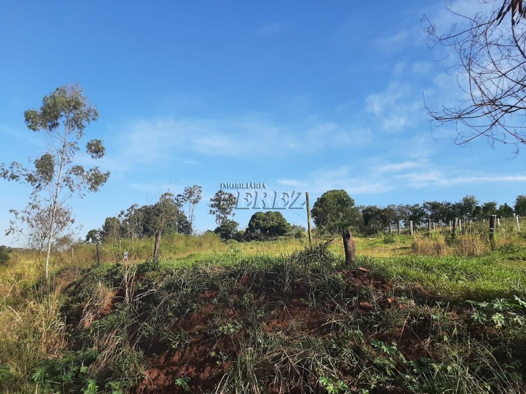 Área de 20.000m² à Venda - Ideal para Condomínio ou Loteamento em Londrina (Região Leste) - Foto 9