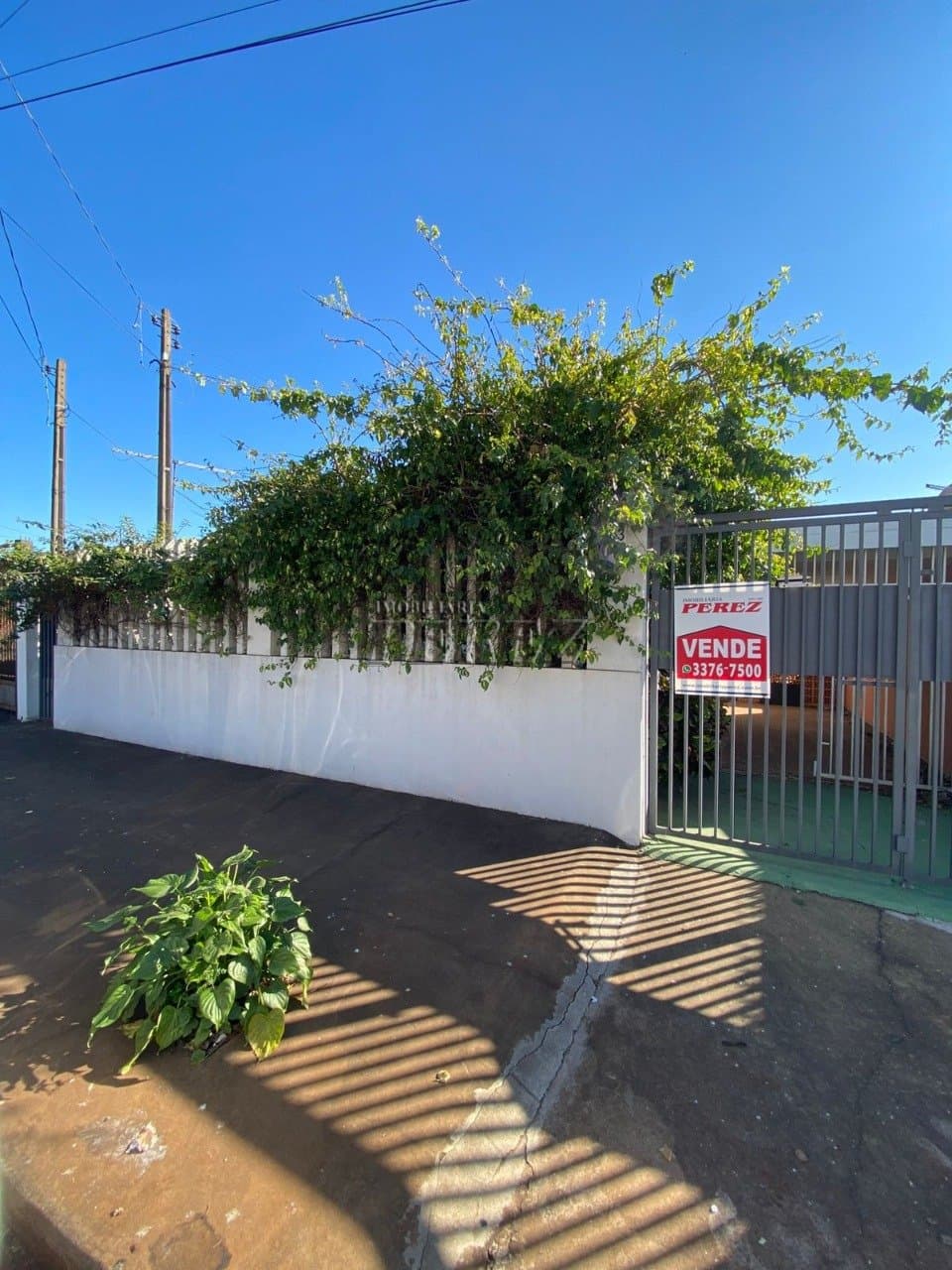 Venda de casa no Jardim Progresso - Espaço, conforto e tranquilidade em Londrina - Foto 0