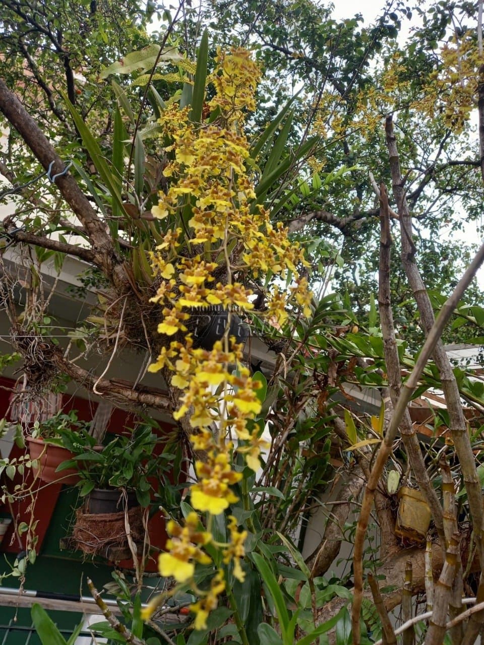Venda de casa no Jardim Progresso - Espaço, conforto e tranquilidade em Londrina - Foto 12