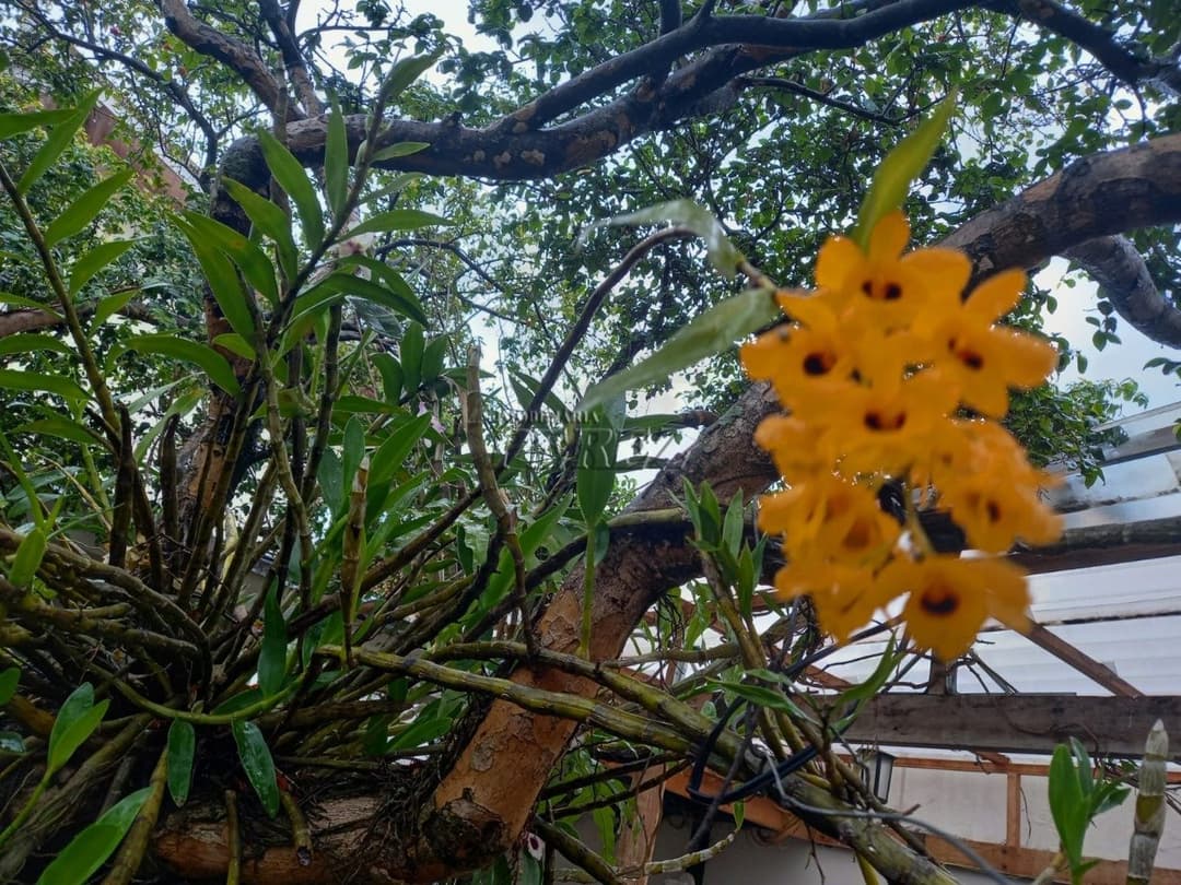 Venda de casa no Jardim Progresso - Espaço, conforto e tranquilidade em Londrina - Foto 19