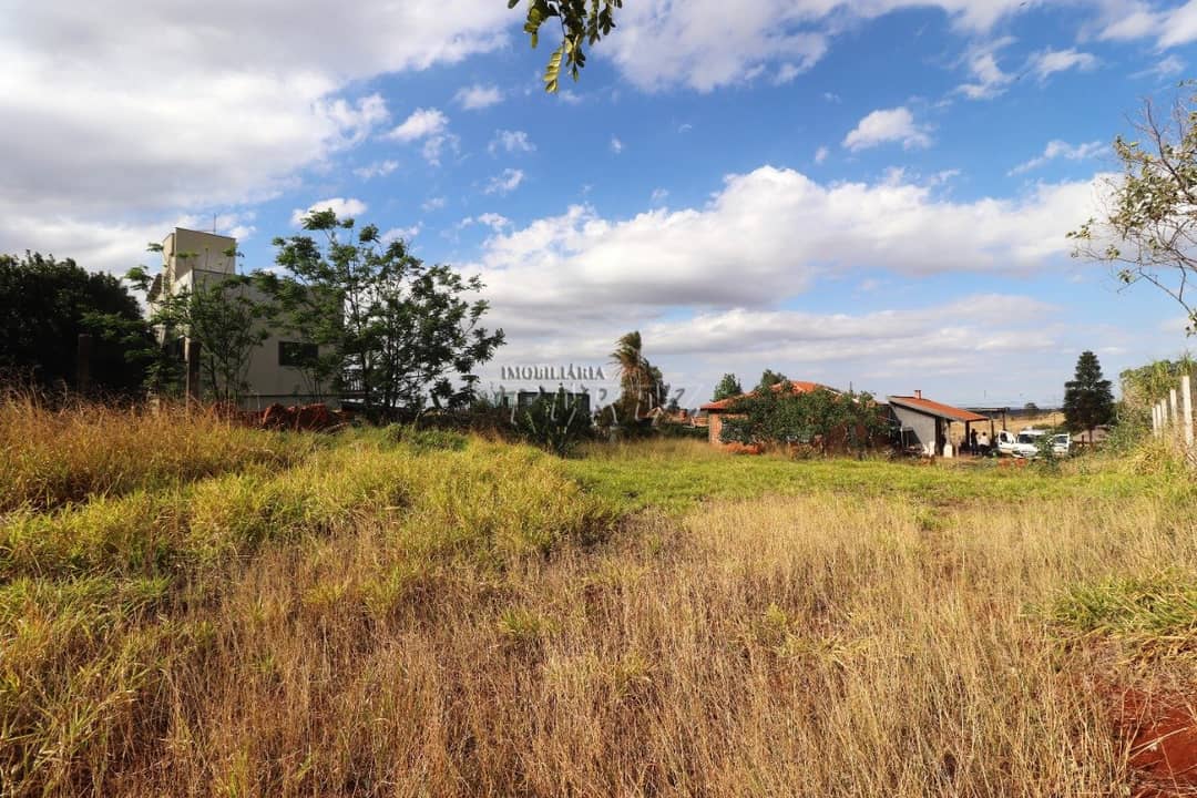 Chácara à venda de 2.500m² com Casa de 3 Dormitórios no Itaúna - Londrina - Foto 3