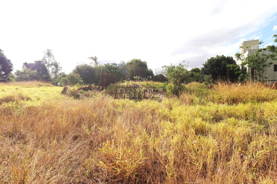 Chácara à venda de 2.500m² com Casa de 3 Dormitórios no Itaúna - Londrina - Foto 4