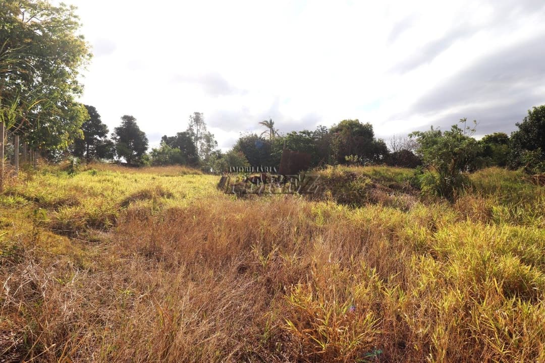 Chácara à venda de 2.500m² com Casa de 3 Dormitórios no Itaúna - Londrina - Foto 5