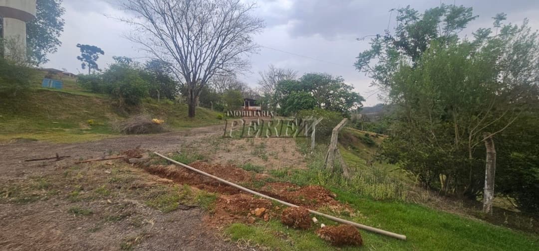 Sítio à Venda na Região Sul de Londrina - 6,5 Hectares com Aviário, Casa Sede e Estrutura Completa - Foto 7