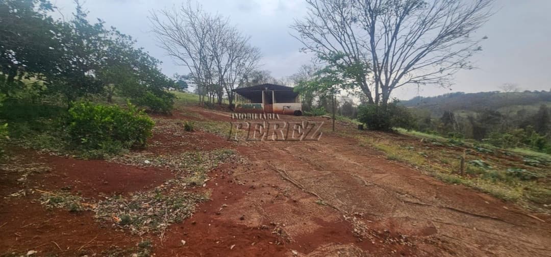 Sítio à Venda na Região Sul de Londrina - 6,5 Hectares com Aviário, Casa Sede e Estrutura Completa - Foto 14